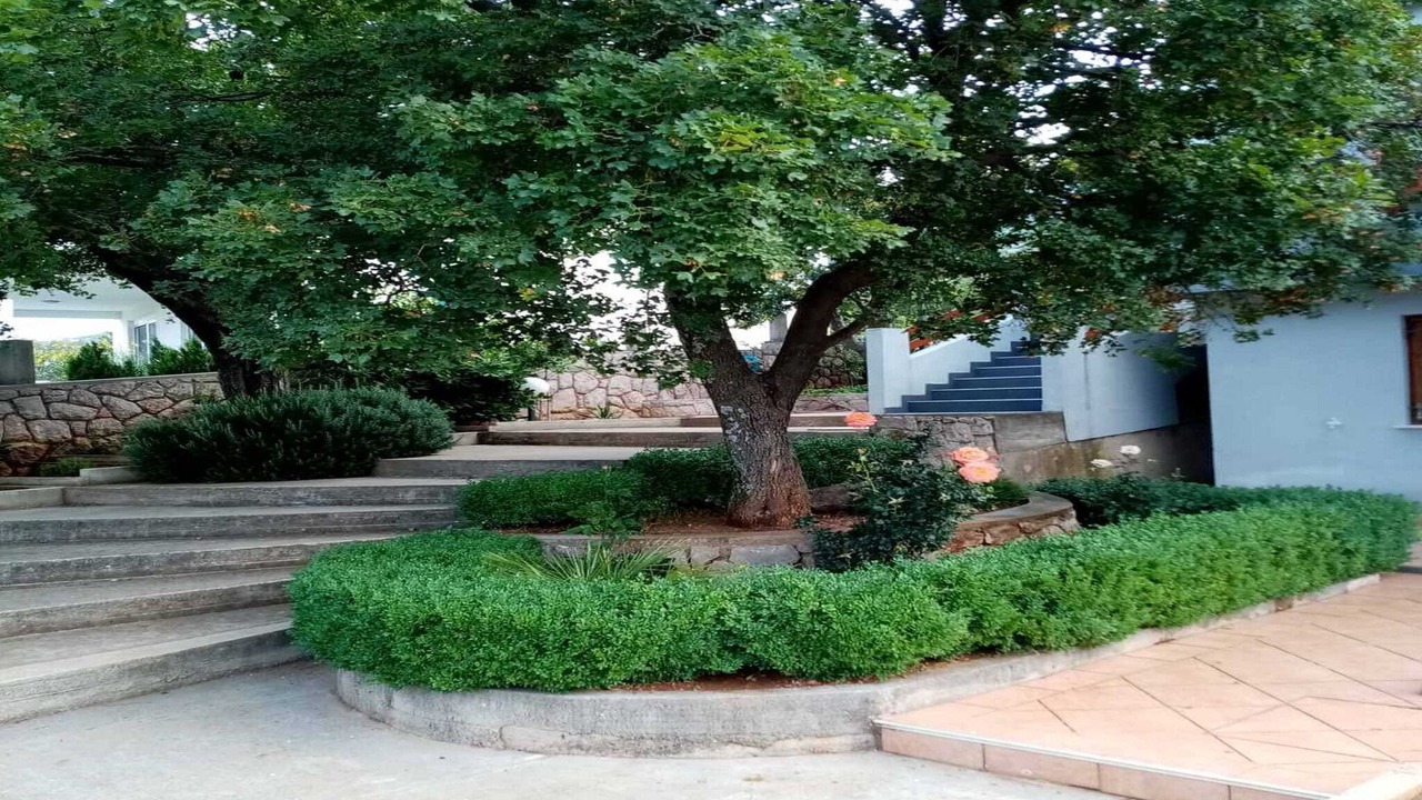 Photo of Outdoor in Cesarica