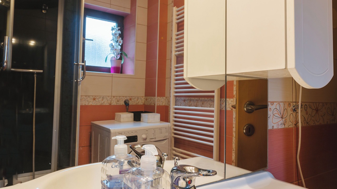 Photo of Bathroom in Bohinj