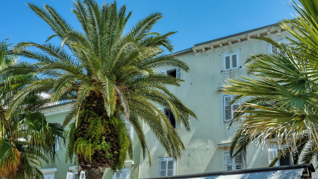 Photo of Outdoor in Cove Murtar