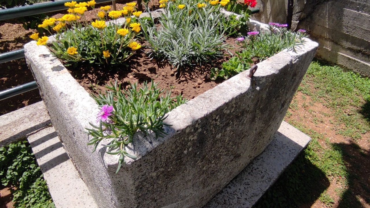 Photo of Outdoor in Banici