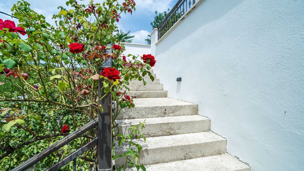 Photo of Outdoor in Molunat