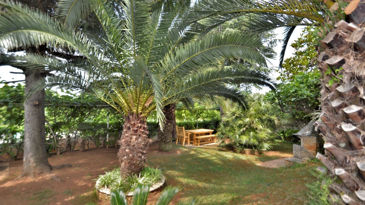 Photo of Outdoor in Medulin