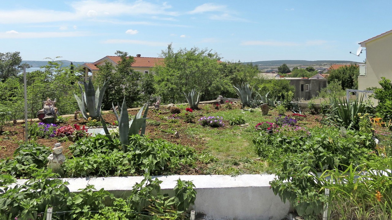 Photo of Others in Maslenica