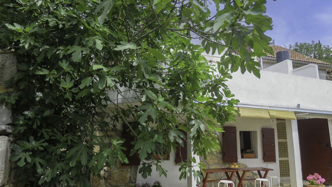 Photo of Outdoor in Starigrad