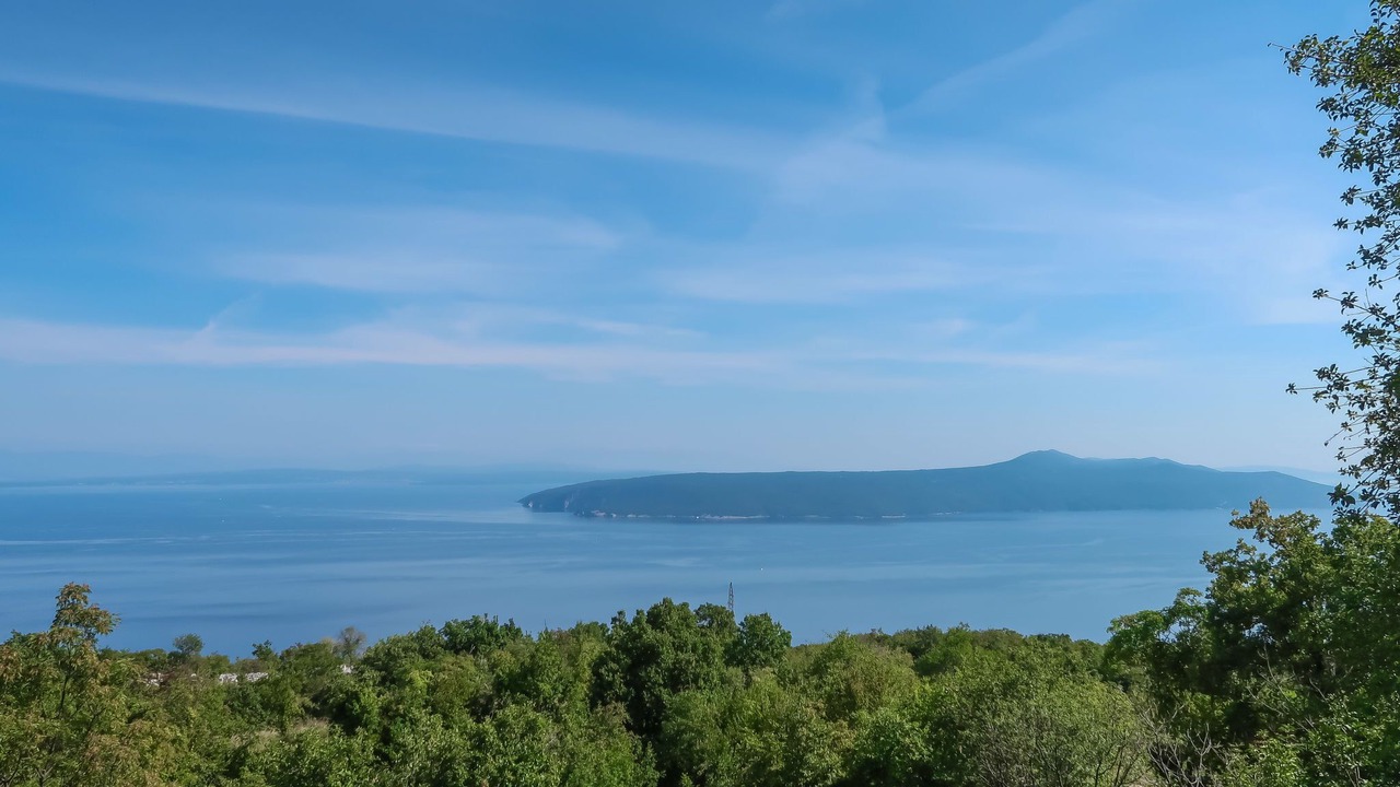 Photo of Others in Moscenicka Draga