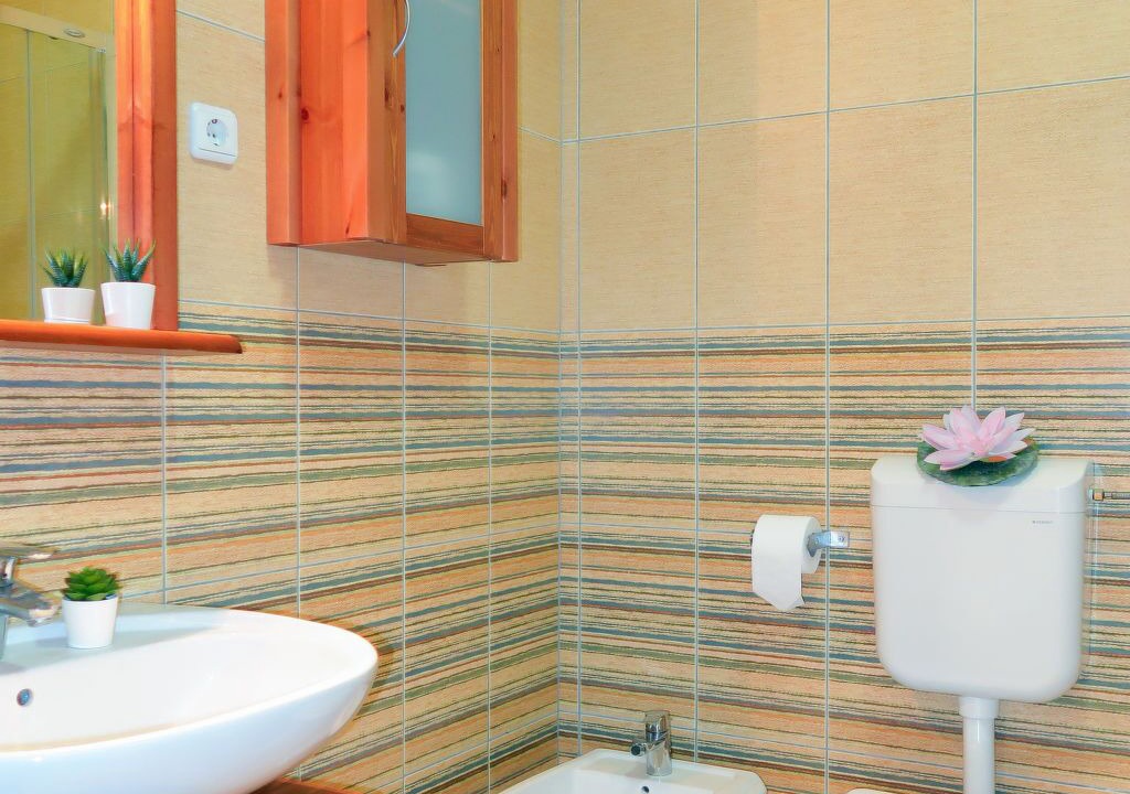Photo of Bathroom in Milohnici
