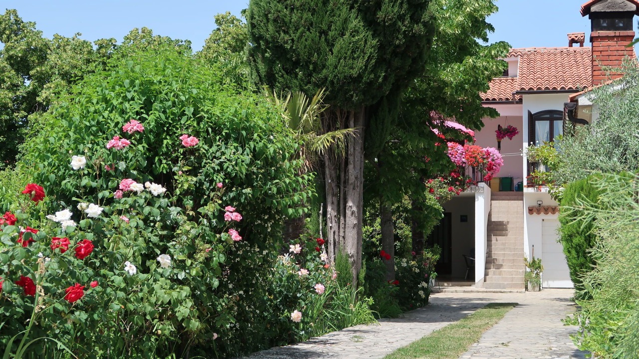 Photo of Outdoor in Labin