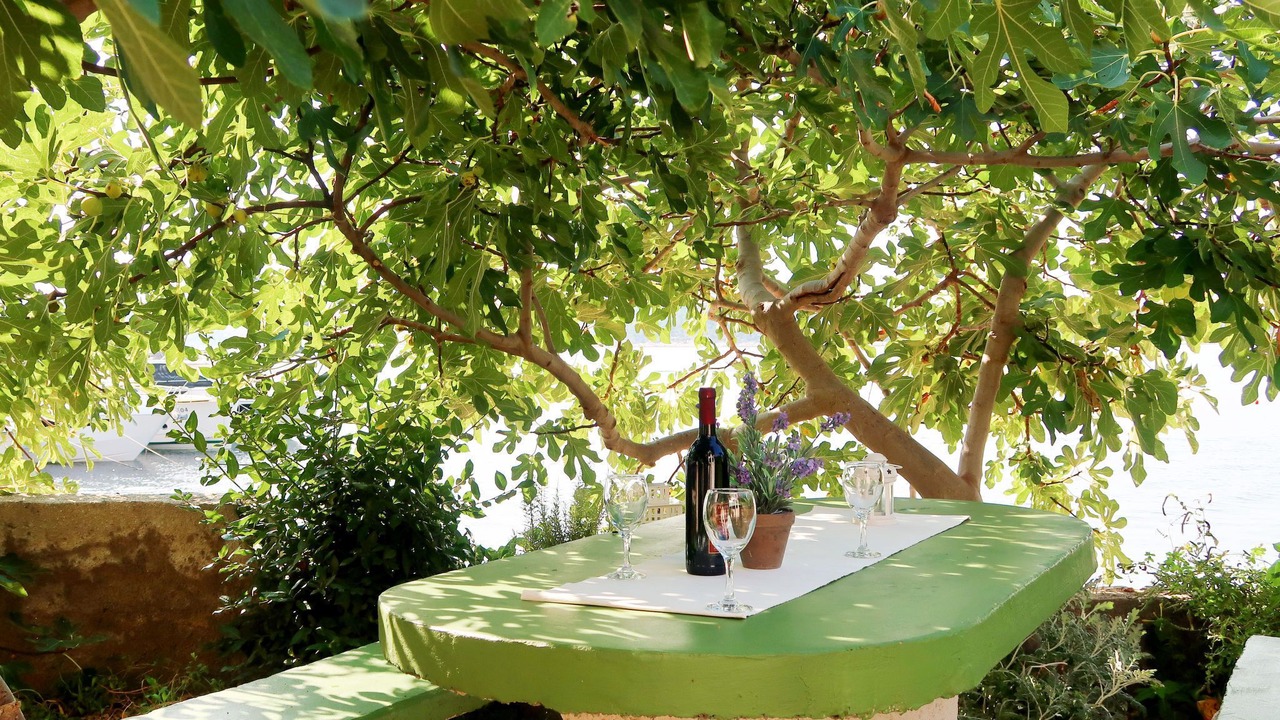 Photo of Outdoor in Barbat na Rabu