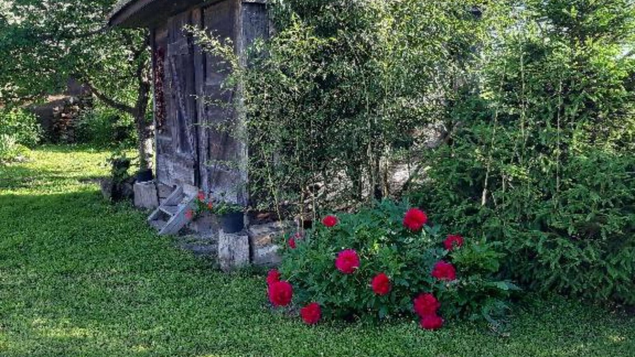 Photo of Outdoor in Draz