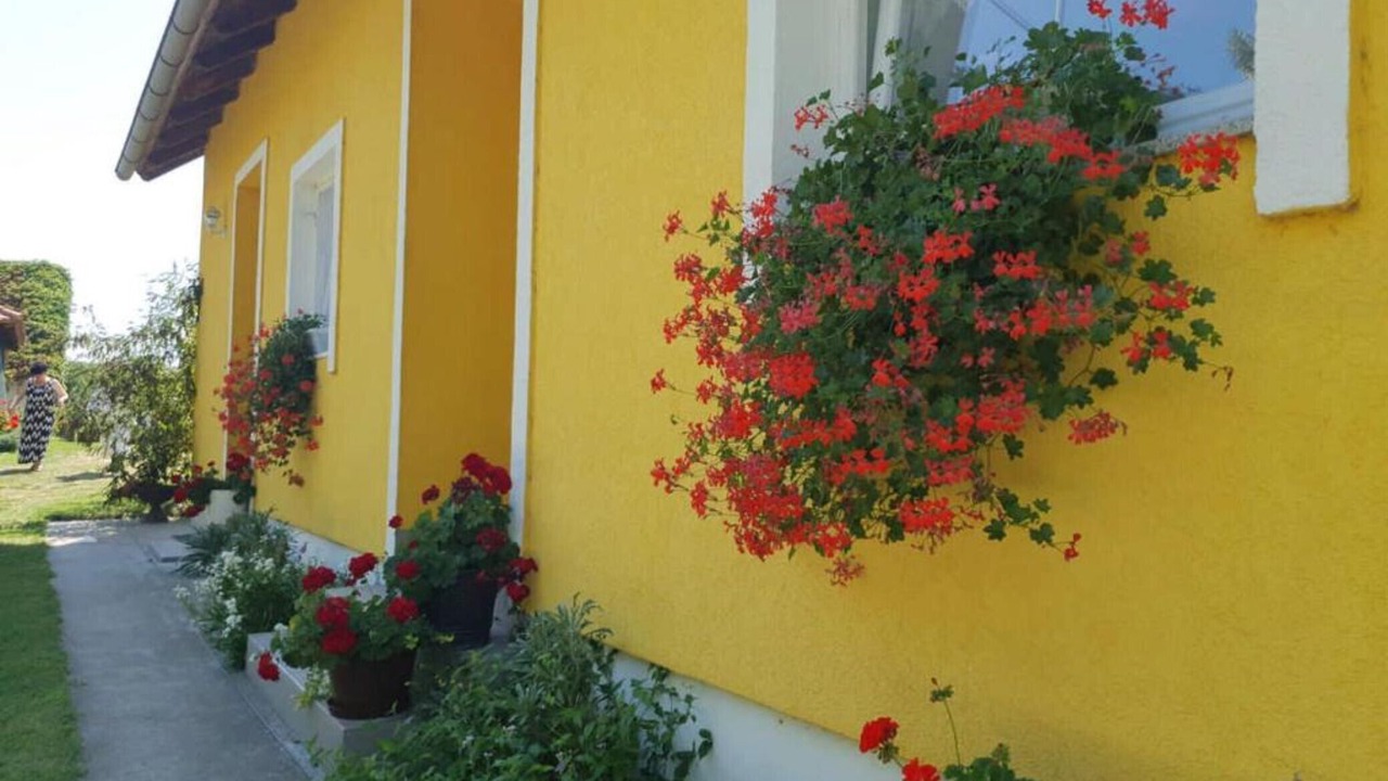 Photo of Outdoor in Draz