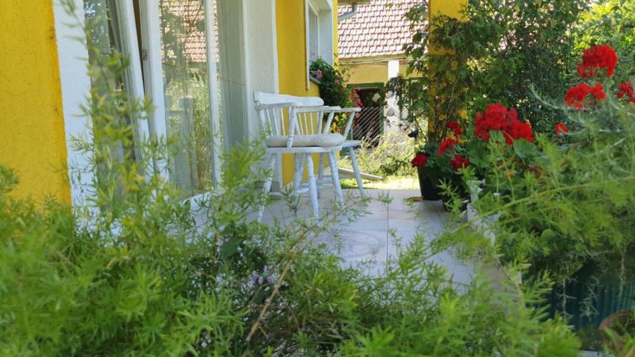 Photo of Outdoor in Draz