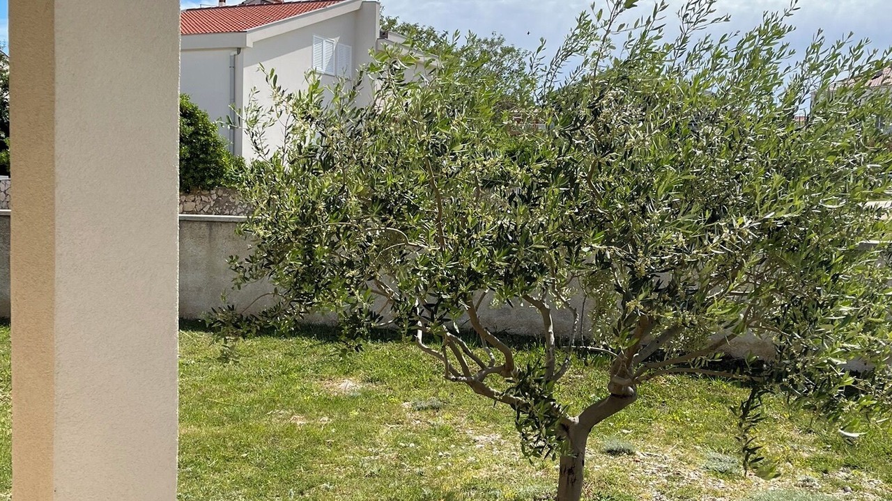 Photo of Outdoor in Razanac
