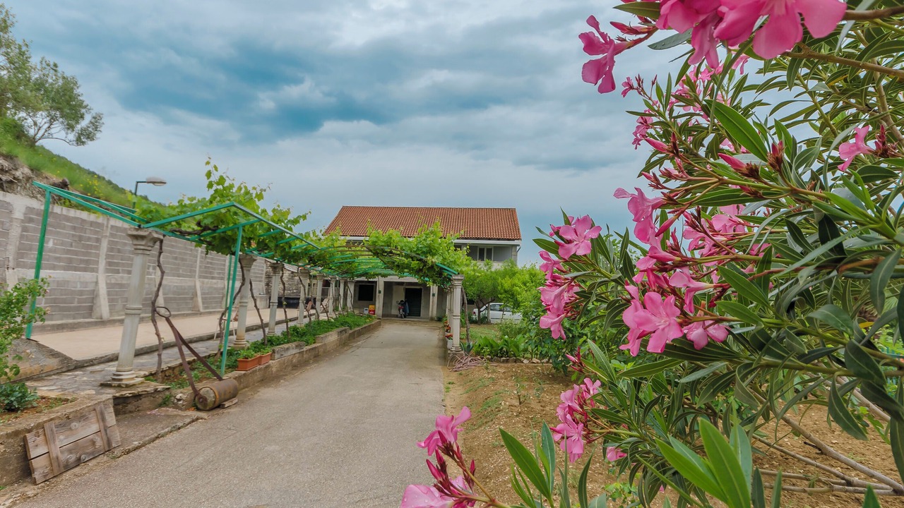 Photo of Outdoor in Skradin
