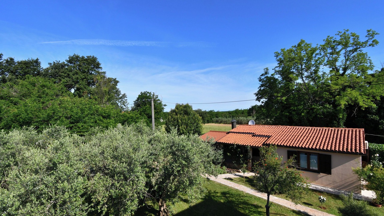Photo of Outdoor in Babici