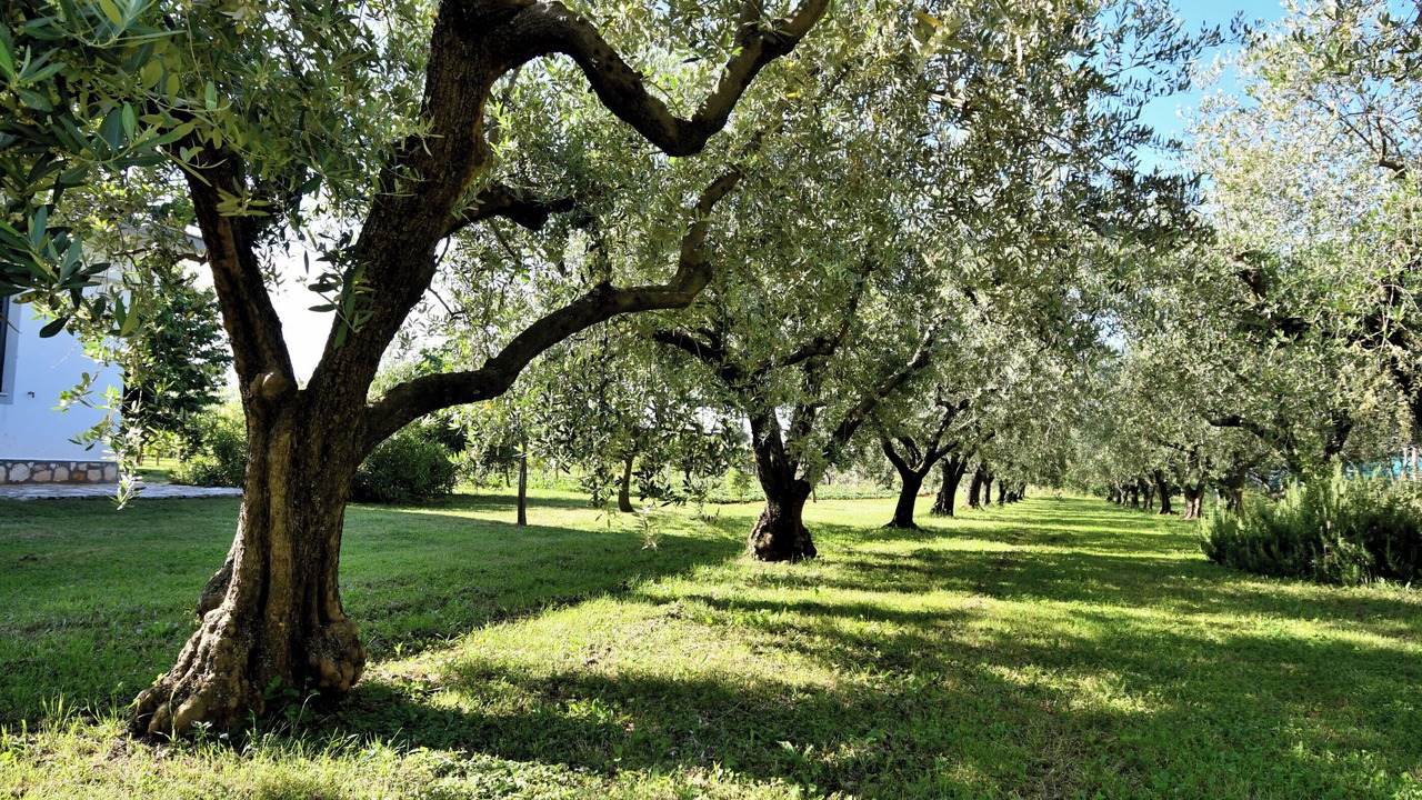 Photo of Outdoor in Babici