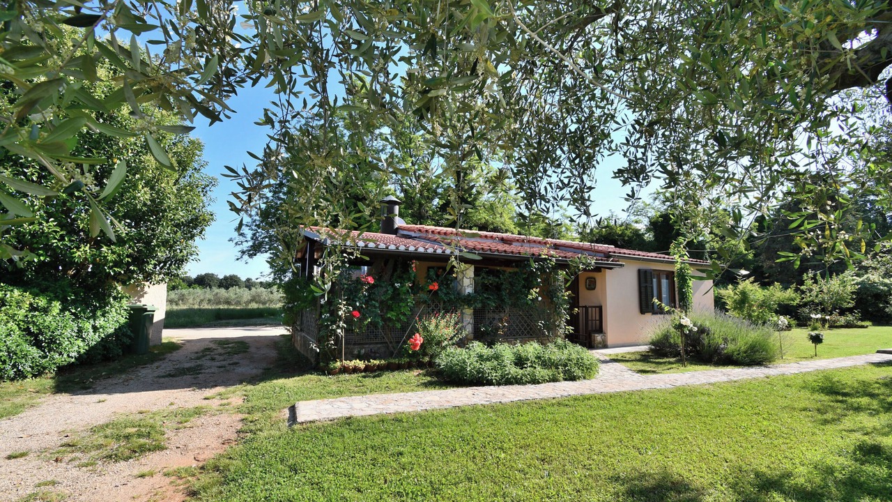 Photo of Outdoor in Babici