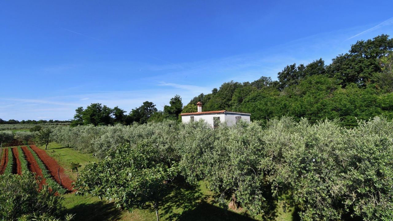 Photo of Outdoor in Babici
