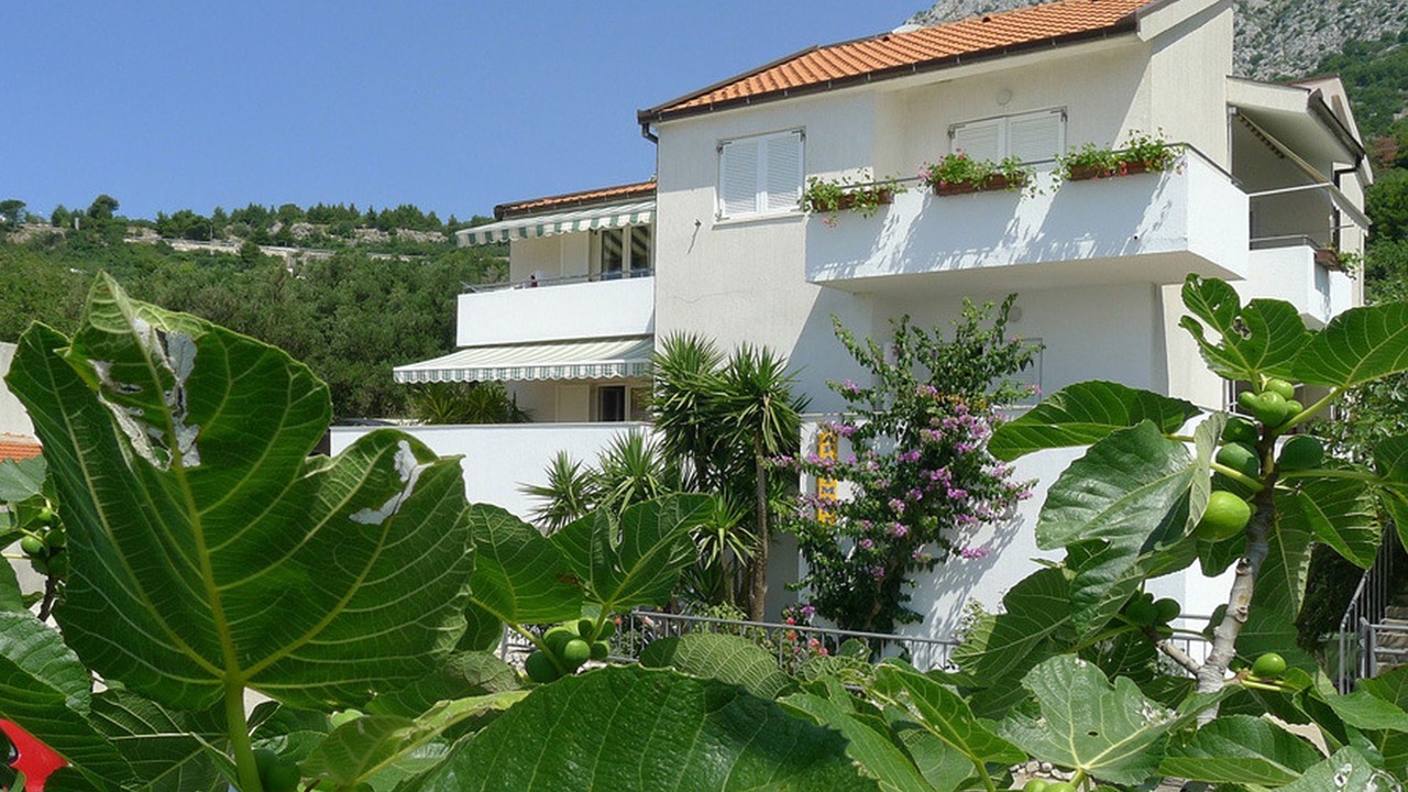Photo of Outdoor in Igrane