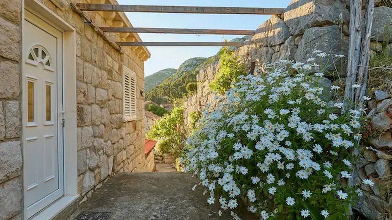 Photo of Outdoor in Maranovici