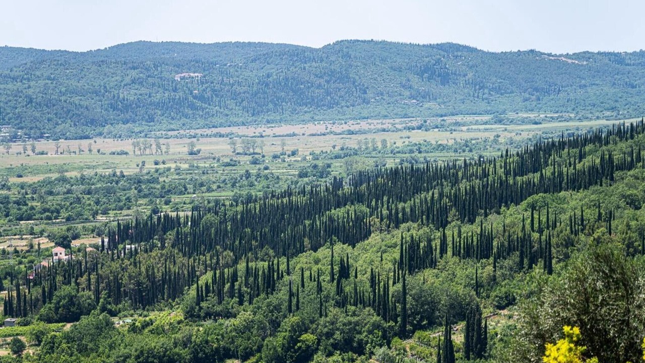 Photo of Others in Ljuta