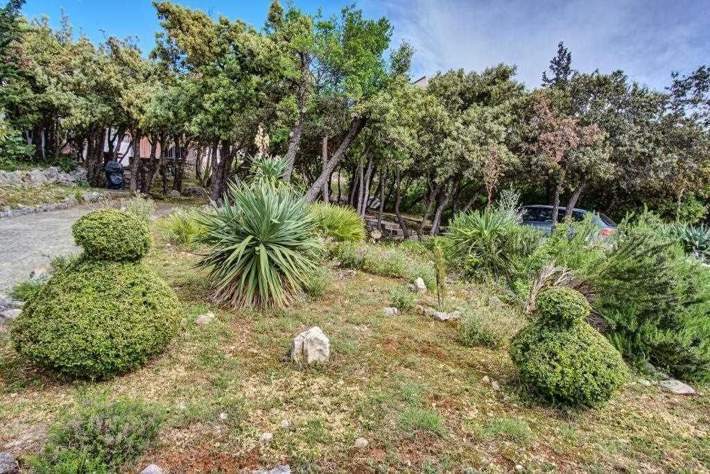 Photo of Outdoor in Miholascica