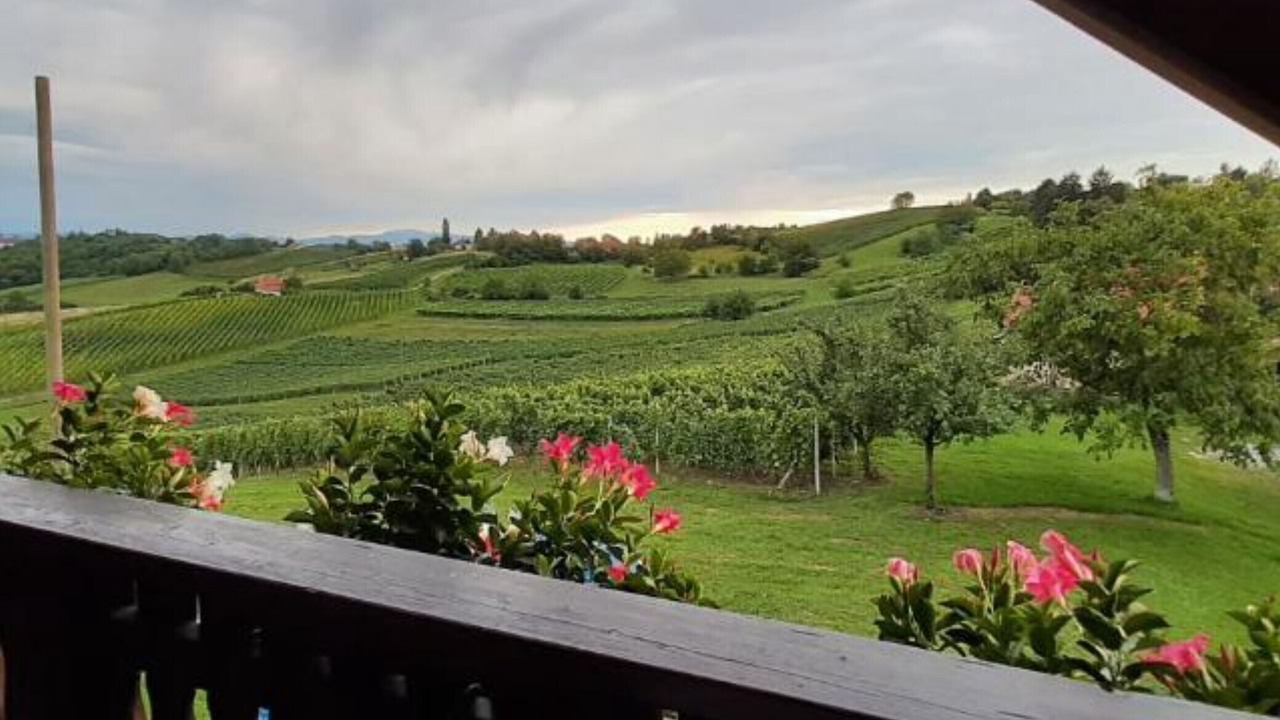 Photo of Outdoor in Medimurje