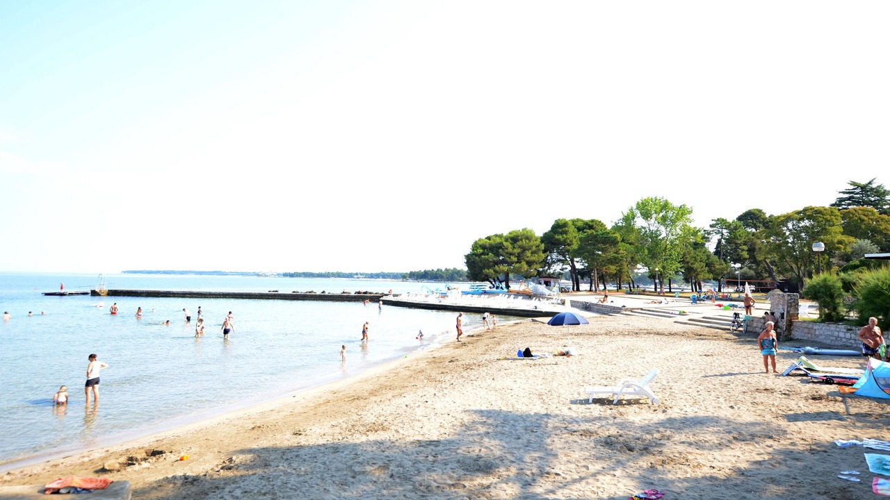 Photo of Others in Murine