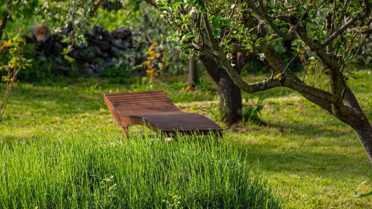 Photo of Outdoor in Kras