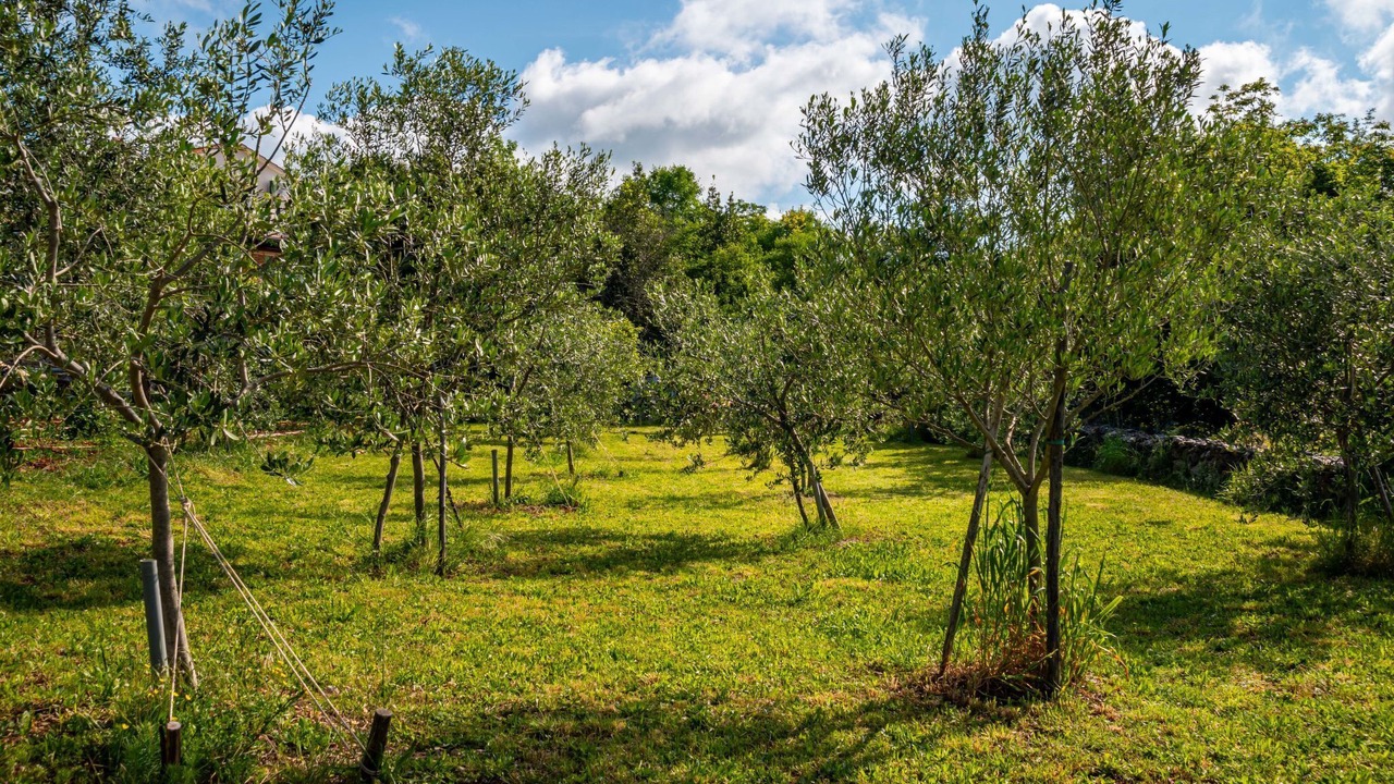 Photo of Outdoor in Kras