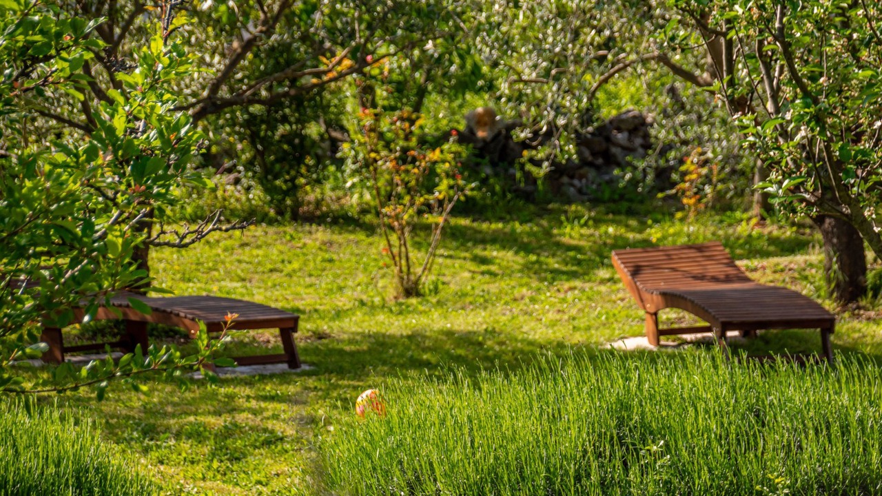 Photo of Outdoor in Kras