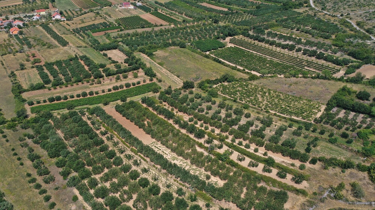 Photo of Outdoor in Nadin