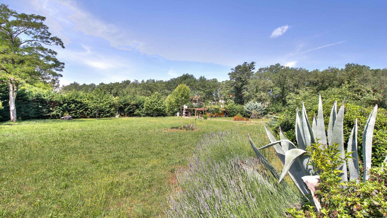 Photo of Outdoor in Monterol