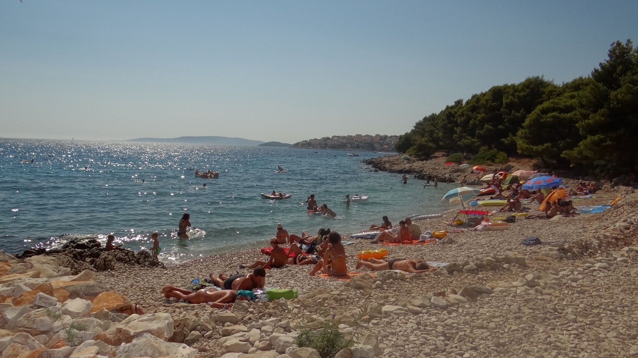 Photo of Others in Businci