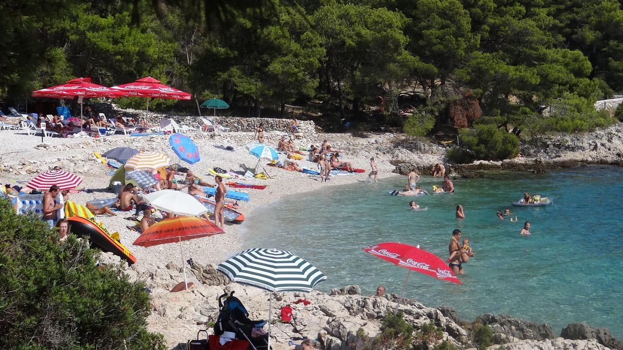 Photo of Others in Businci