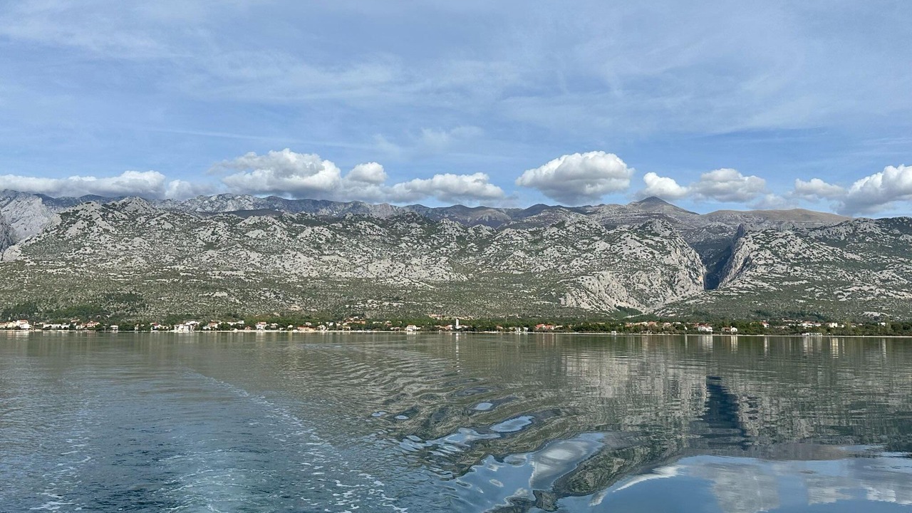 Photo of Others in Seline