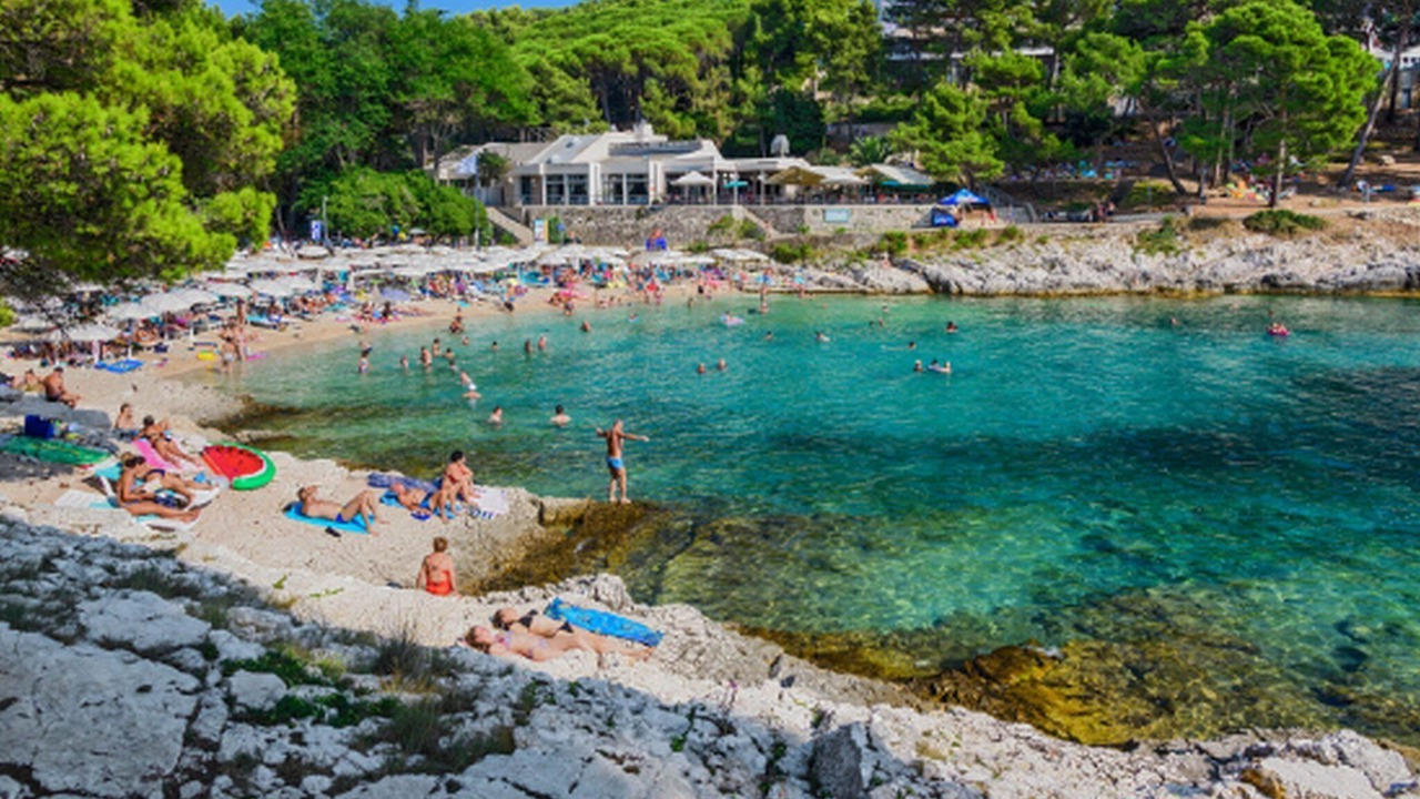 Photo of Others in Cove Murtar