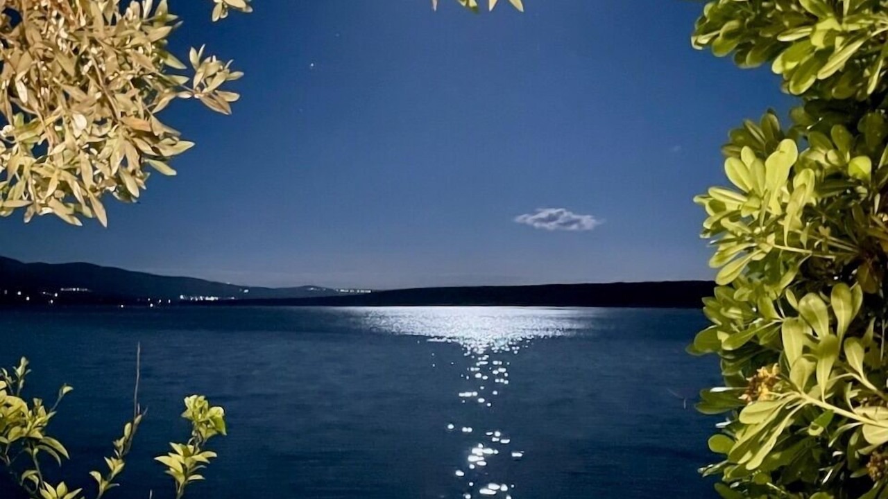 Photo of Outdoor in Maslenica