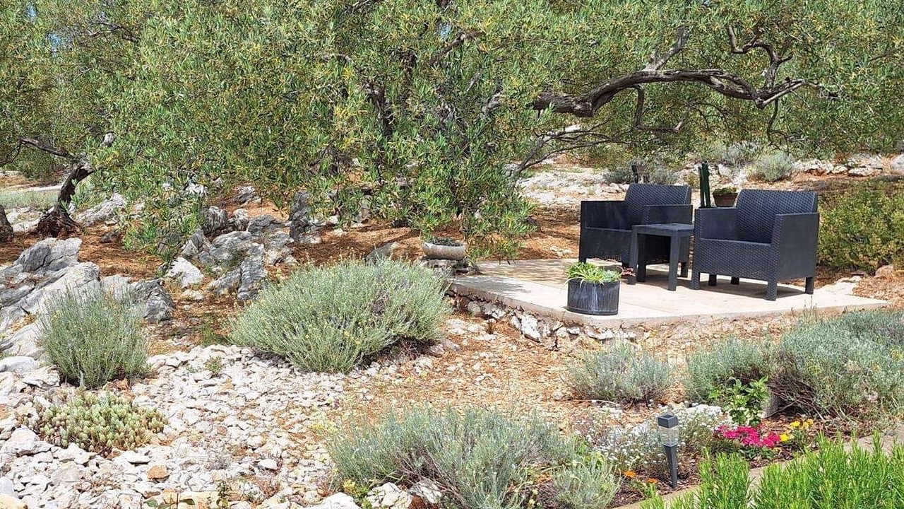 Photo of Outdoor in Tkon