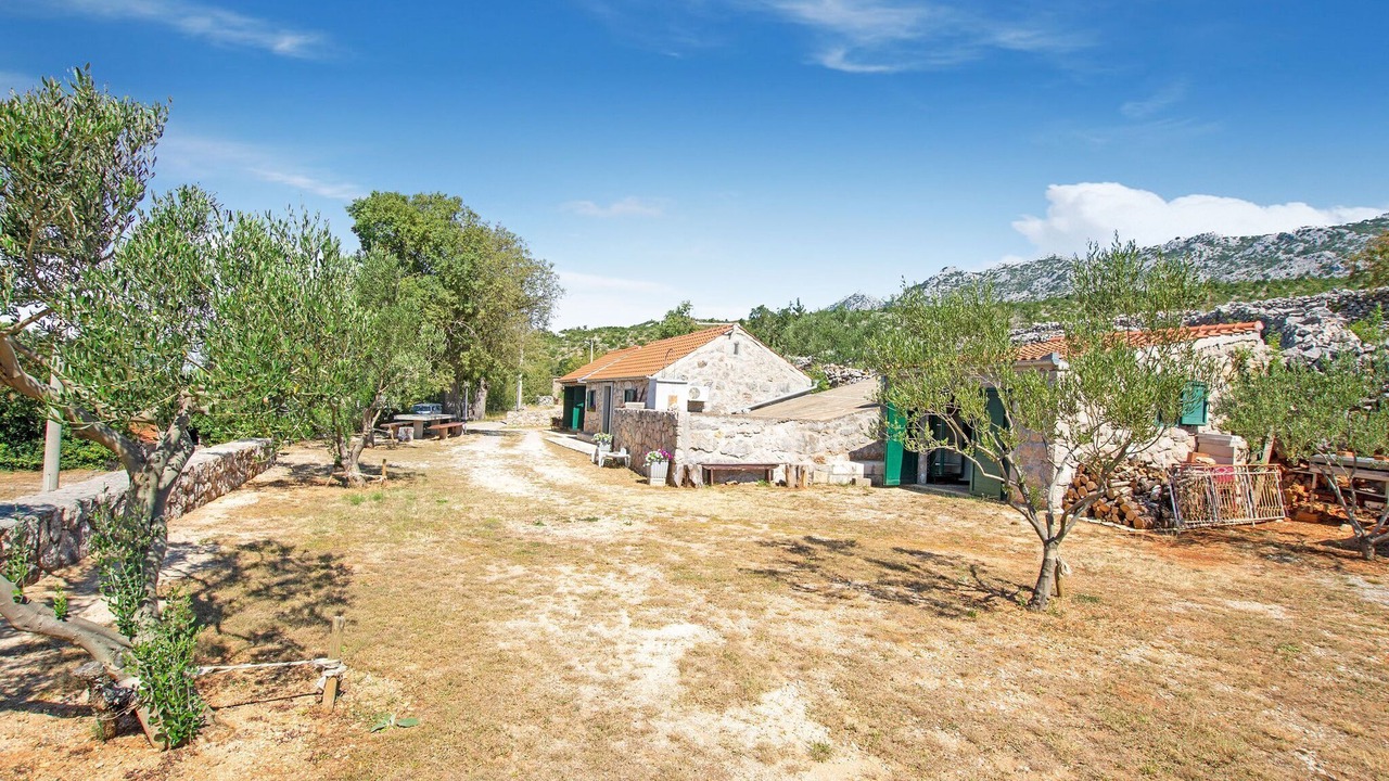 Photo of Others in Seline