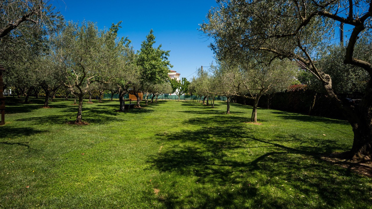 Photo of Outdoor in Fiorini