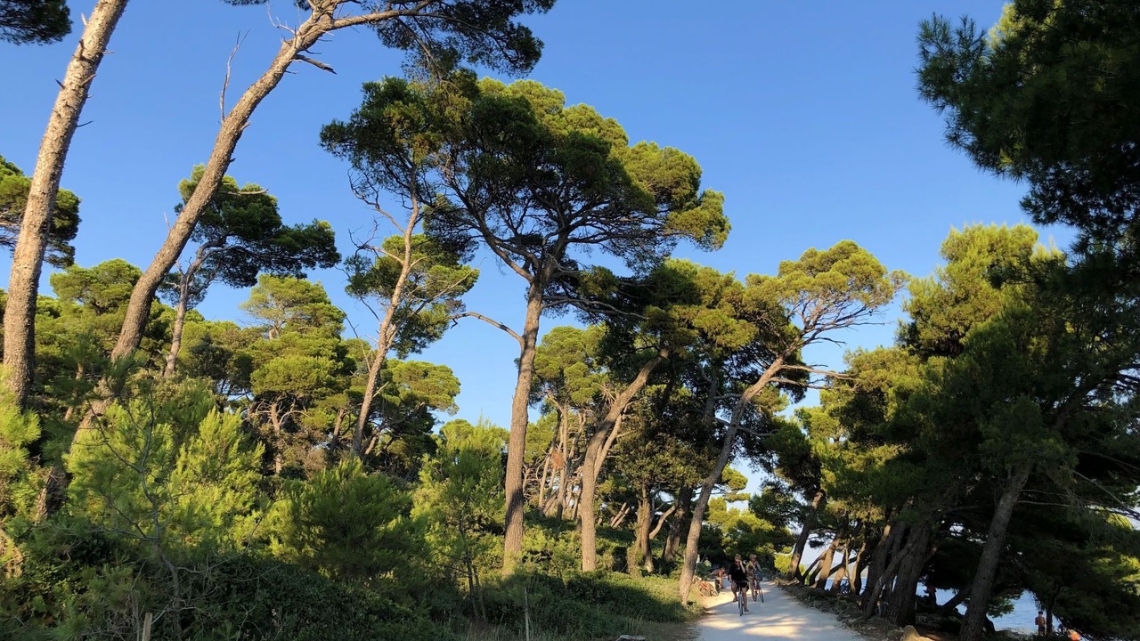 Photo of Others in Rovinj