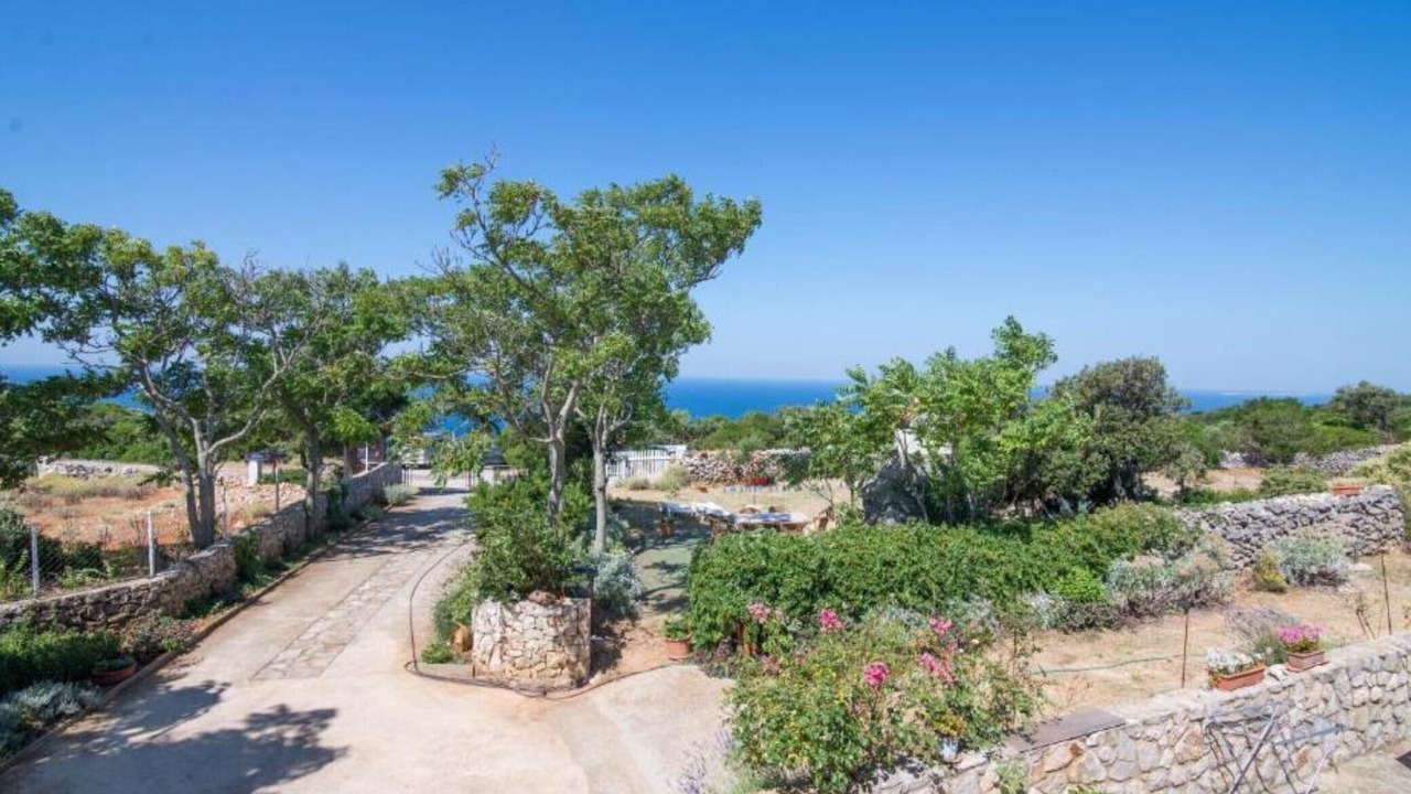 Photo of Outdoor in Veli Losinj
