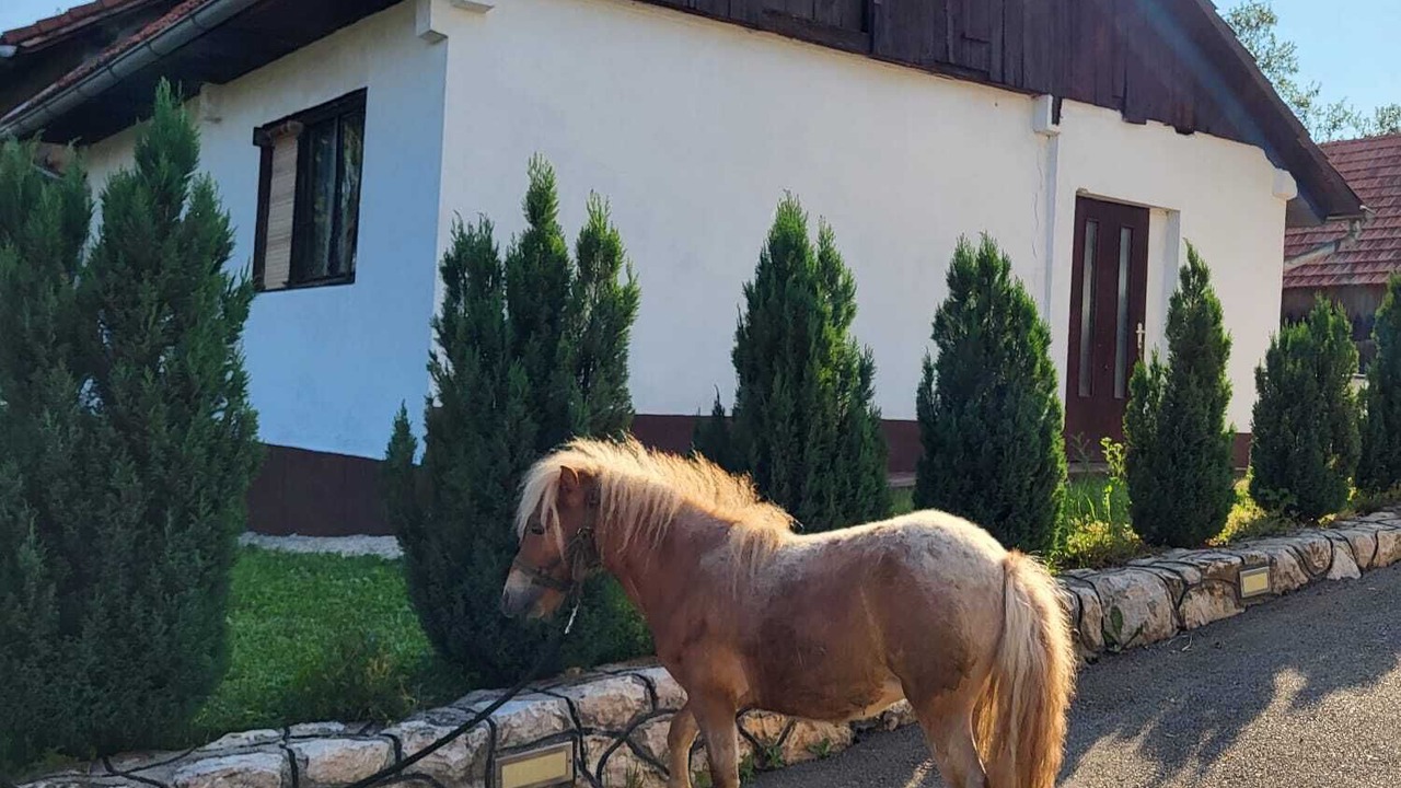 Photo of Outdoor in Slunj