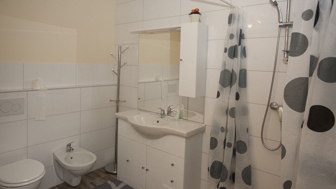 Photo of Bathroom in Hajdina