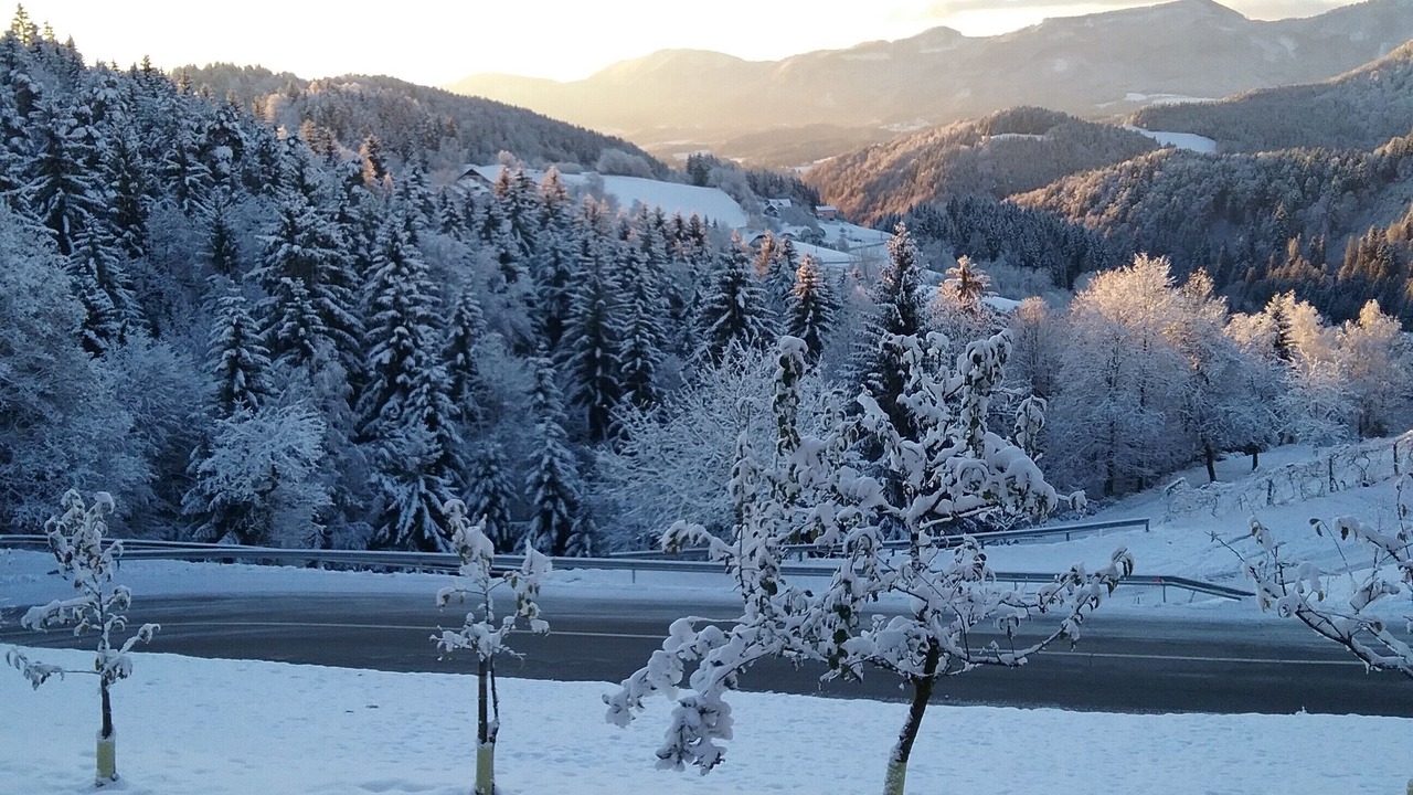 Photo of Others in Zrece