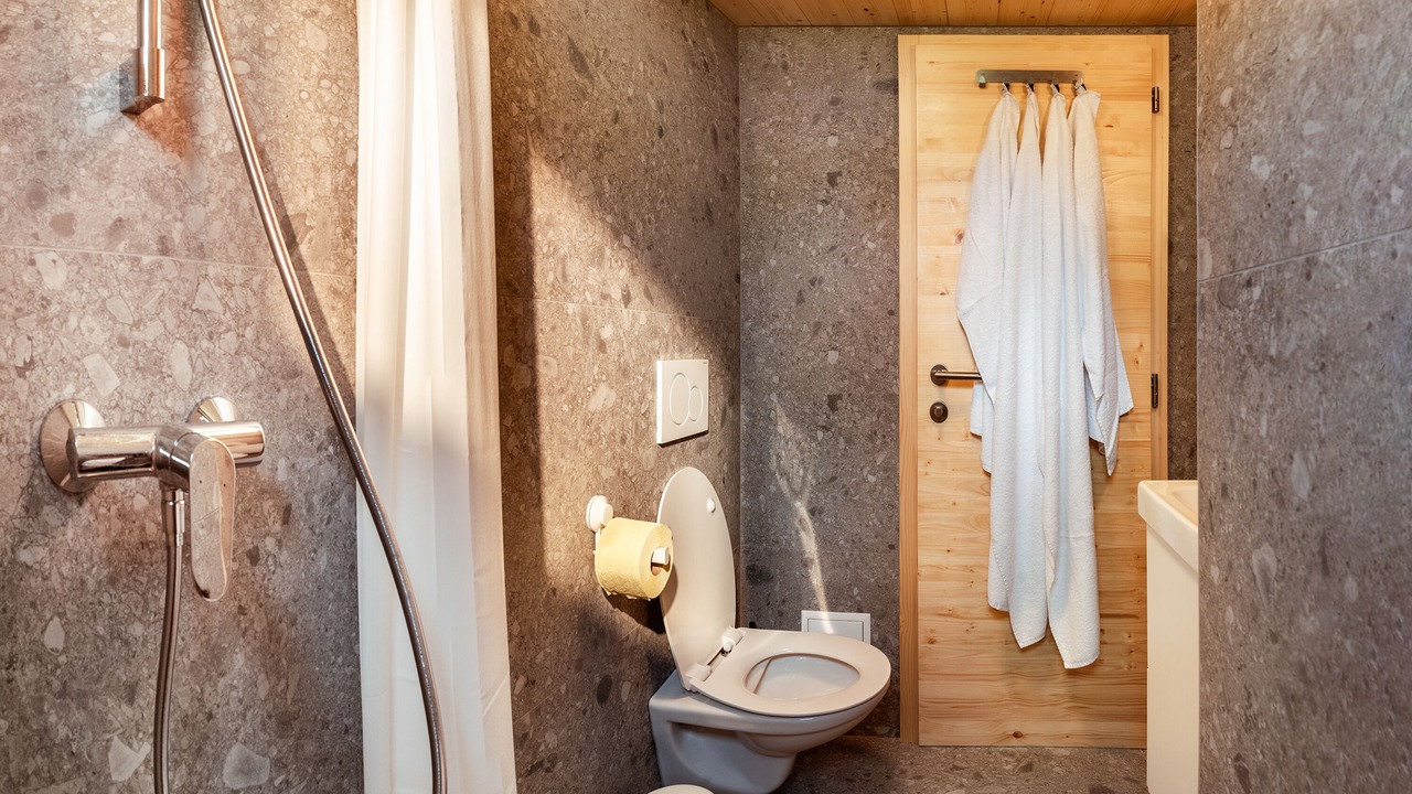 Photo of Bathroom in Trzic