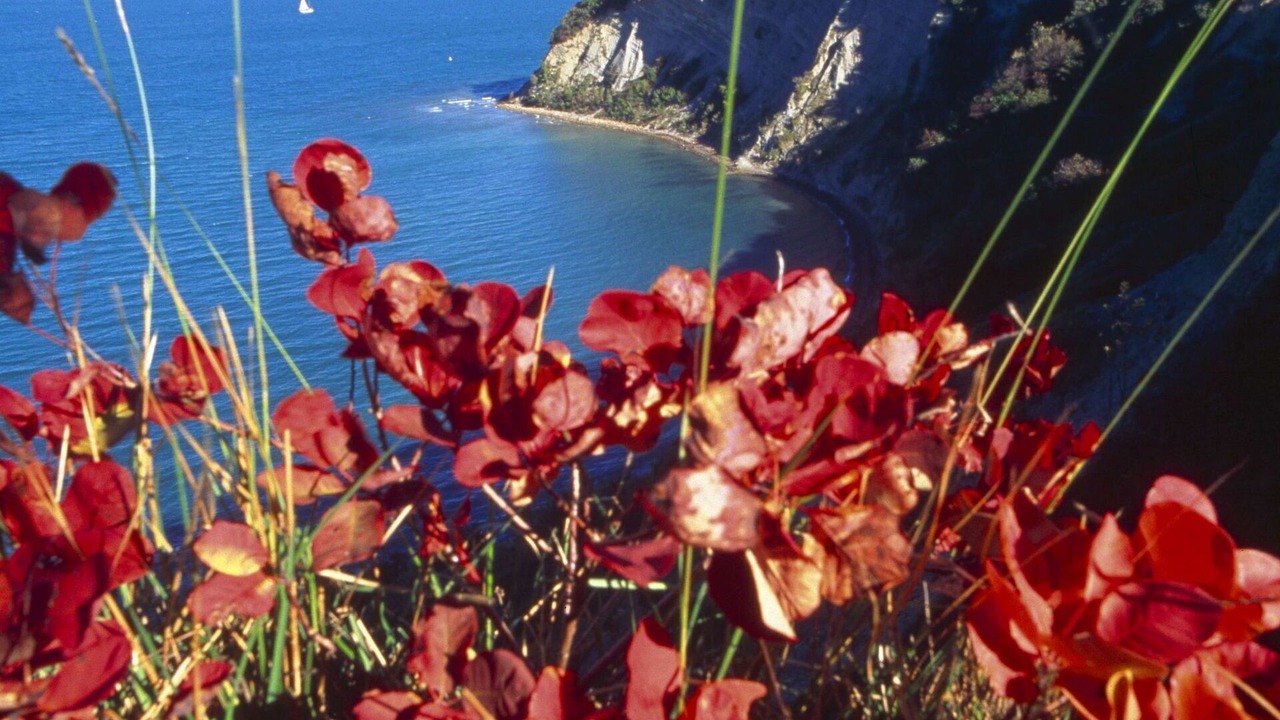 Photo of Outdoor in Strunjan