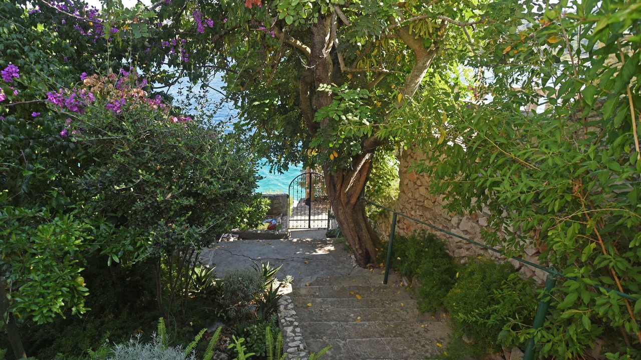Photo of Outdoor in Veliki Drvenik