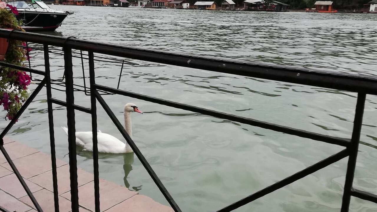 Photo of Outdoor in New Belgrade
