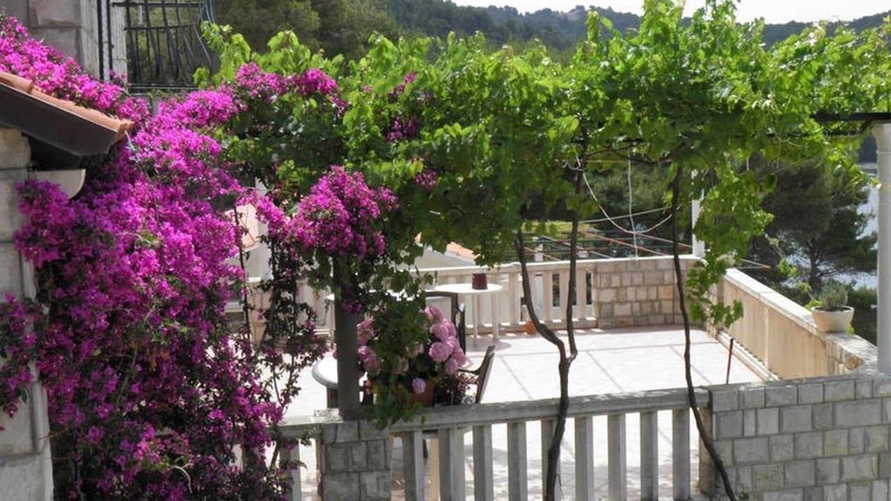 Photo of Patio Balcony in Saplunara